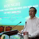 Hội nghị Ban Chấp hành T.Ư Hội Nông dân Việt Nam lần thứ 5, khoá VIII: Chuẩn bị cho Đại hội đại biểu Hội Nông dân Việt Nam nhiệm kỳ 2026-2031