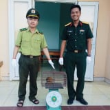 Con động vật hoang dã hiền như cục đất đi lạc vào tận doanh trại, một sĩ quan quân đội ở Huế đem giao nộp kiểm lâm