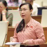 Đại biểu Quốc hội lo ngại tang vật, phương tiện tạm giữ quá lâu phải bán phế liệu gây lãng phí