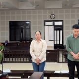 Cho người Trung Quốc đang bị truy nã thuê nhà, 3 bị cáo lãnh án