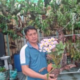 Trai Hải Phòng bỏ công nhân về làm nông dân công nghệ cao, trồng lan rừng quý, cả làng phục lăn
