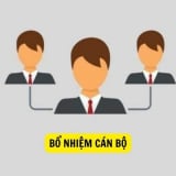 Chủ tịch UBND xã có thẩm quyền bổ nhiệm, miễn nhiệm, tạm đình chỉ, cách chức với những chức vụ nào theo quy định mới?