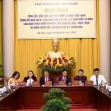 Công bố lệnh của Chủ tịch nước về Hiến pháp, kết thúc hoạt động cấp huyện từ 1/7