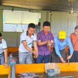 Chế độ, chính sách đối với người hoạt động không chuyên trách ở thôn, tổ dân phố khi thực hiện tinh giản biên chế theo quy định mới nhất từ tháng 6/2025