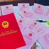 Những trường hợp bắt buộc phải đổi sang mẫu sổ đỏ mới từ năm 2025 