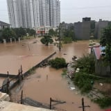 Mưa lũ ở Thái Nguyên khiến hàng trăm nhà dân bị ngập, nhiều diện tích hoa màu, vật nuôi bị thiệt hại, huy động hàng nghìn người ứng cứu