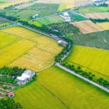 Từ con lộ sình lầy đến con đường hạnh phúc nổi tiếng miền Tây: Nông dân chuyển hướng làm giàu (Bài cuối)