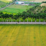 Từ con lộ sình lầy đến con đường hạnh phúc nổi tiếng miền Tây: Sức mạnh của sự đồng lòng (Bài 2)