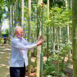 Một ông nông dân ở tỉnh Đắk Lắk mới có vỏn vẹn 4 sào đất, trồng cây gì mà lãi tiền tỷ, cả làng phục lăn?
