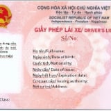 Trước ngày 1/1/2026, 6 trường hợp nếu không đổi hoặc cấp lại Giấy phép lái xe có thể bị xử phạt
