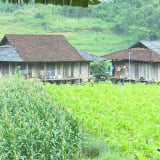 Nông thôn mới ở một xã mới của Thái Nguyên sau sáp nhập còn các ngôi nhà sàn đẹp mê ly, ngỡ như cổ tích