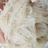 Con 'bạch ngọc' ví như 'nhân sâm nước sông Đà' ở Hòa Bình là cá gì mà trẻ nhỏ, người già ăn cực tốt?
