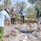 Quảng Trị: Xác lợn trôi lềnh bềnh trên sông, ngành chức năng rốt ráo xử lý