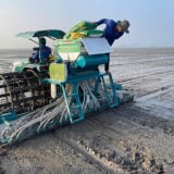 Lợi ích của phân bón cải tạo đất