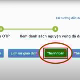 Cách thanh toán lệ phí nguyện vọng 2025 trên hệ thống của Bộ GDĐT chuẩn nhất