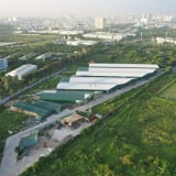  Cho thuê kho xưởng trái phép trên đất dự án tại xã Sơn Đồng (Hà Nội)
