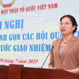 Trình Bộ Chính trị đề án tinh gọn các Hội quần chúng trước ngày 31/8