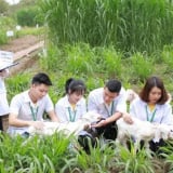 Một ngành học 'hot' ở Học viện Nông nghiệp Việt Nam, sinh viên chưa ra trường đã được doanh nghiệp săn đón