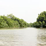 Nơi này ở tỉnh Đồng Nai la liệt đặc sản cá nước lợ, tôm nước lợ, nghe tên đã thấy ngon lắm rồi