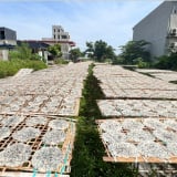  Nghề cổ hơn 1.000 năm tuổi ở Hải Phòng, nông dân nay vẫn làm, 'nhận lương' cao 25-30 triệu/tháng