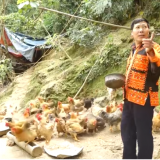 Nuôi gà đặc sản-gà 6 ngón trên núi Mẫu Sơn ở Lạng Sơn, cứ nói bán là người ta khuân đi cả đàn
