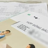 Tranh chấp Hợp đồng bảo hiểm nhân thọ: Cẩn trọng để không rơi vào vòng lao lý