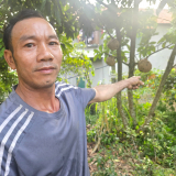 Nuôi con vật hung hãn dẫn dụ từ rừng về, cứ đêm ra lấy thứ 'đại bổ' này đem bán, ông nông dân Quảng Trị kiếm bộn tiền