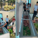 Tạm giữ hình sự 4 đối tượng định bán 1.600kg thịt nhiễm dịch tả lợn châu Phi ở Thanh Hóa