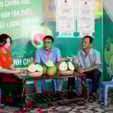 Sau 1 tháng vận hành chính quyền 2 cấp, Hội Nông dân Đồng Nai bám sát cơ sở, giúp dân dễ tiếp cận chính sách hơn