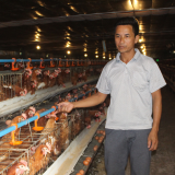 Giá trứng gà tăng vọt, một doanh nghiệp trong ngành trứng gia cầm chỉ rõ nguyên nhân