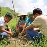 Một huyện ở Sơn La giảm nghèo bền vững nhờ tranh thủ huy động được vốn từ nhiều chương trình