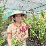 Nữ tỷ phú Bình Dương trồng hoa quý tộc kiểu gì kiếm doanh thu 8 tỷ/năm?