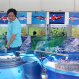 Đây là một nghề hot sau sáp nhập tỉnh Bà Rịa-Vũng Tàu, Bình Dương với TP HCM