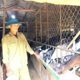 Nuôi dê trên đồi kiểu gì mà 'nhàn tênh', hễ nhà nào ở xã biển Hà Tĩnh này nuôi đều tăng thu nhập