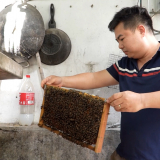 Thú cưng không ngờ tới của một người đàn ông giữa Thủ đô