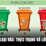 Phân loại rác bắt buộc từ 2025: Luật đã có, nhưng hạ tầng chưa theo kịp
