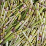 Chồi rừng non bấn ở Lào Cai thực ra là loại rau rừng đặc sản gì, hễ thấy là muốn mua liền?