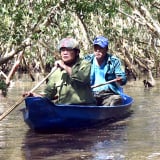 Chuyện rắn hổ mang to đùng ở khu rừng dài từ Kiên Giang đến Cà Mau, nghe lời kể ly kỳ, chưa có tấm hình nào