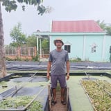 Con đặc sản hiền như cục đất, ham ăn đồ rẻ tiền, nuôi thành công ở Bình Phước, một nông dân lãi 1,4 tỷ