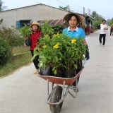 Đường hoa nông thôn mới ở một huyện vùng Đồng Tháp Mười của tỉnh Long An đẹp mê tơi thế này đây