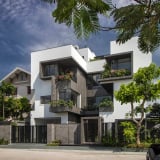 “Cây sự sống” mọc giữa khu nhà phố: Thiết kế độc đáo tại Hải Phòng