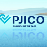 'Đại gia bảo hiểm' Pjico sẽ ra sao nếu không còn lợi thế từ Petrolimex và gặp rủi ro thanh khoản?