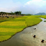 Dưới lòng đất ở một xã của Thanh Hóa dần lộ diện một kinh đô cổ xưa có lối kiến trúc đồ sộ