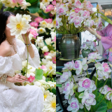 Mê mẩn không gian sống đầy ắp hoa sen của đôi bạn Hà Nội, Hải Phòng