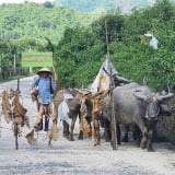 Huyện Cam Lâm (Khánh Hòa): Bị chậm cấp sổ đỏ, người dân rào chắn lối đi chung