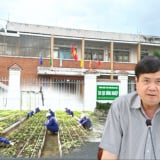 Lãnh đạo tỉnh Kon Tum 'điểm mặt' Sở NN&MT vụ báo cáo cấp mã số vùng trồng cho doanh nghiệp