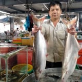 Trước giờ sáp nhập, các tỉnh ĐBSCL nuôi thành công các loại cá đặc sản, cá to bự này ở An Giang bán 350.000 đồng/kg