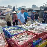 Trước ngày sáp nhập TP HCM, Bình Dương, ngành chức năng Bà Rịa-Vũng Tàu đang hỗ trợ doanh nghiệp xuất khẩu hải sản một việc quan trọng