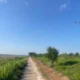 Vay vốn ngân hàng: Người dân có được thế chấp đất nông nghiệp không?
