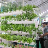Trước giờ sáp nhập tỉnh Bà Rịa-Vũng Tàu, Bình Dương, TP HCM ban hành một kế hoạch quan trọng liên quan đến nông nghiệp công nghệ cao